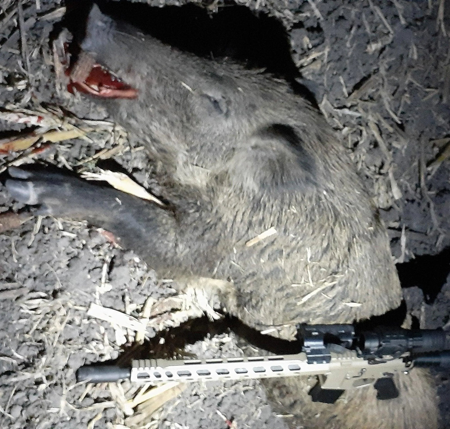 Bering Optics Hogster Charge 35mm Digital Night Vision Scope - Night Vision Universe