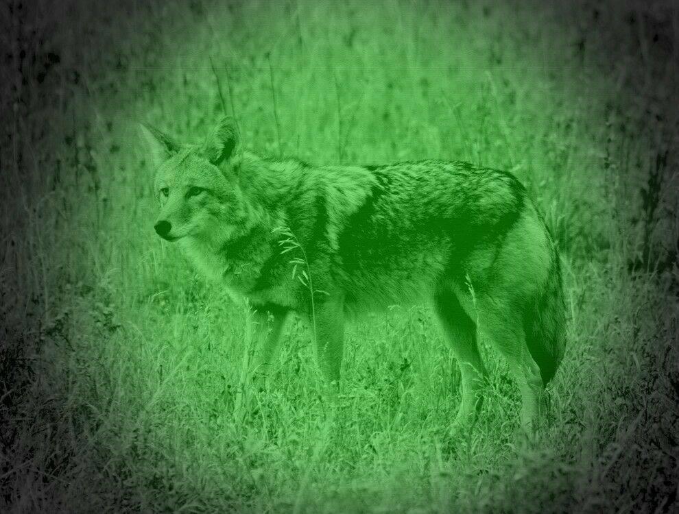 Steiner DBAL-D2 Green Aiming Laser - NVU