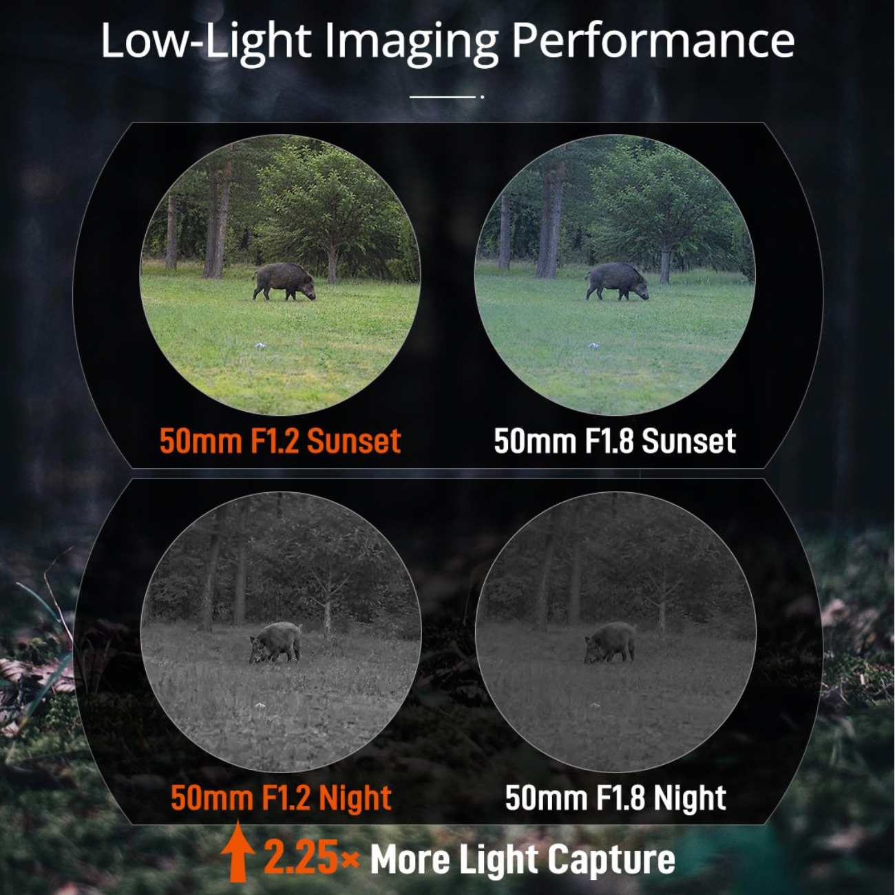 RIX Tourer T50 4K Digital Night Vision Scope 50mm
