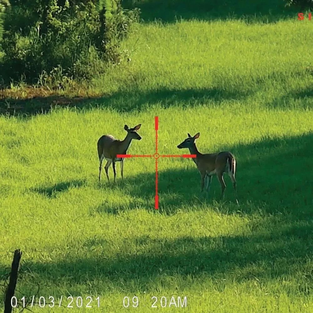 Sightmark Wraith 4K Mini 4X Digital Scope - Night Vision Universe