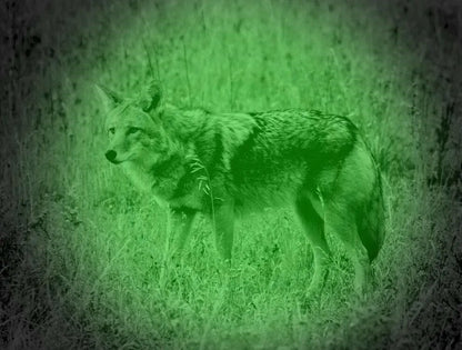 Steiner DBAL-D2 Green Aiming Laser - Night Vision Universe